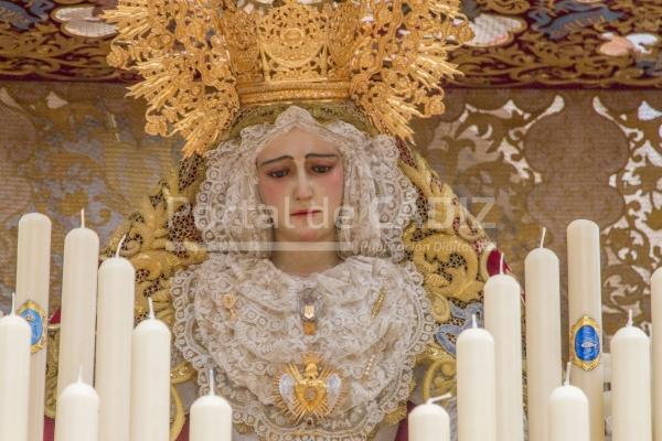 Borriquita prepara una gran petalada para la Virgen del Amparo en el barrio  de San José