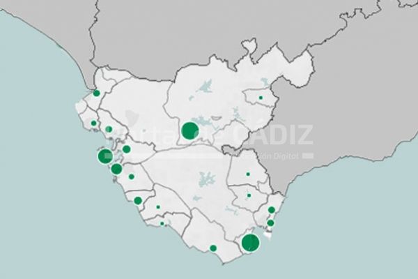 mapa coronavirus cadiz 03082020