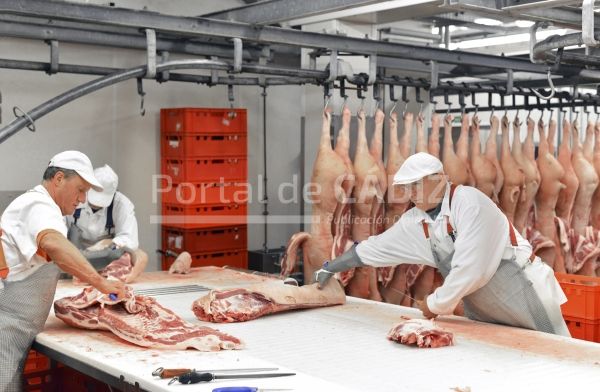 processing of pig carcasses in a slaughterhouse 2022 03 08 01 26 32 utc