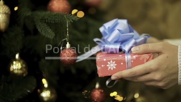 close up for female hand holding christmas present 2022 12 13 06 50 08 utc