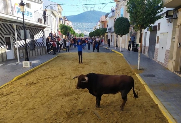 Los jóvenes demostrarán su valentía en el Toro del Aguardiente de Puerto  Serrano, la primera suelta del año en España