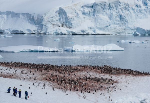 travel sea snow adventure group mountains penguins antarctica idebergs idebergs polar travel t20 ea3zaw