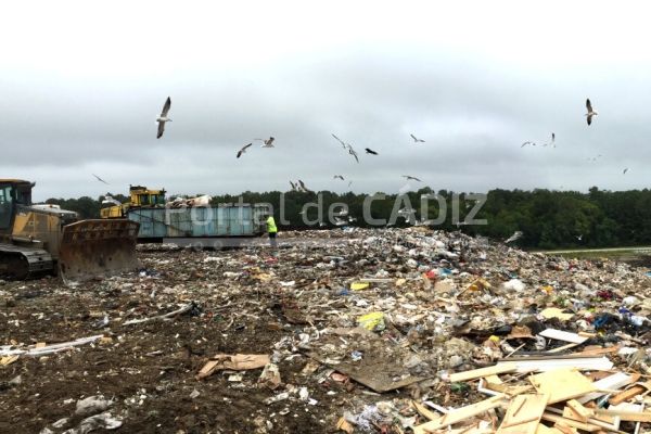 birds bulldozers and dump trucks at the landfill t20 wkvvb0