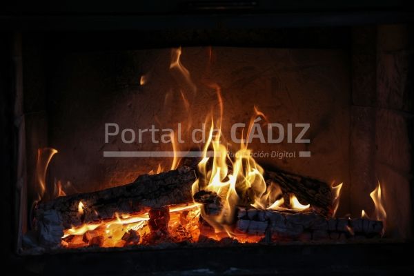 nice fireplace with burning firewood 2022 12 22 20 25 18 utc