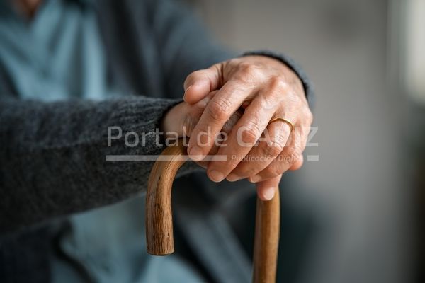 old woman hands holding walking stick 2021 08 30 08 38 14 utc