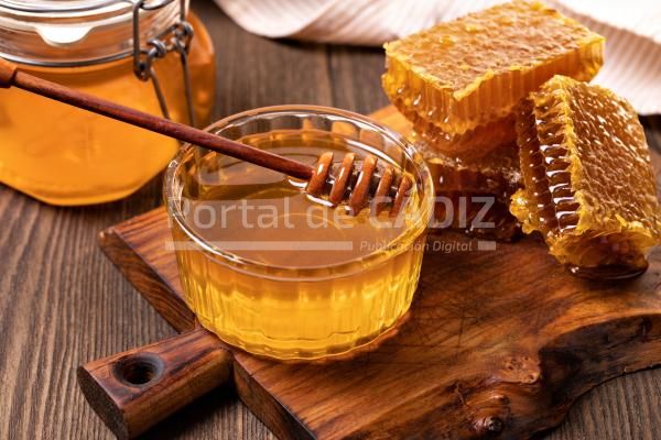 honey and honeycomb slice 2021 08 26 18 18 46 utc