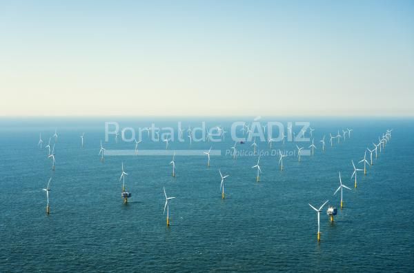 offshore wind farm in the borselle windfield aeri 2022 03 07 23 54 32 utc