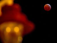 Eclipse total de Luna y Superluna de Sangre (21/01/2019)